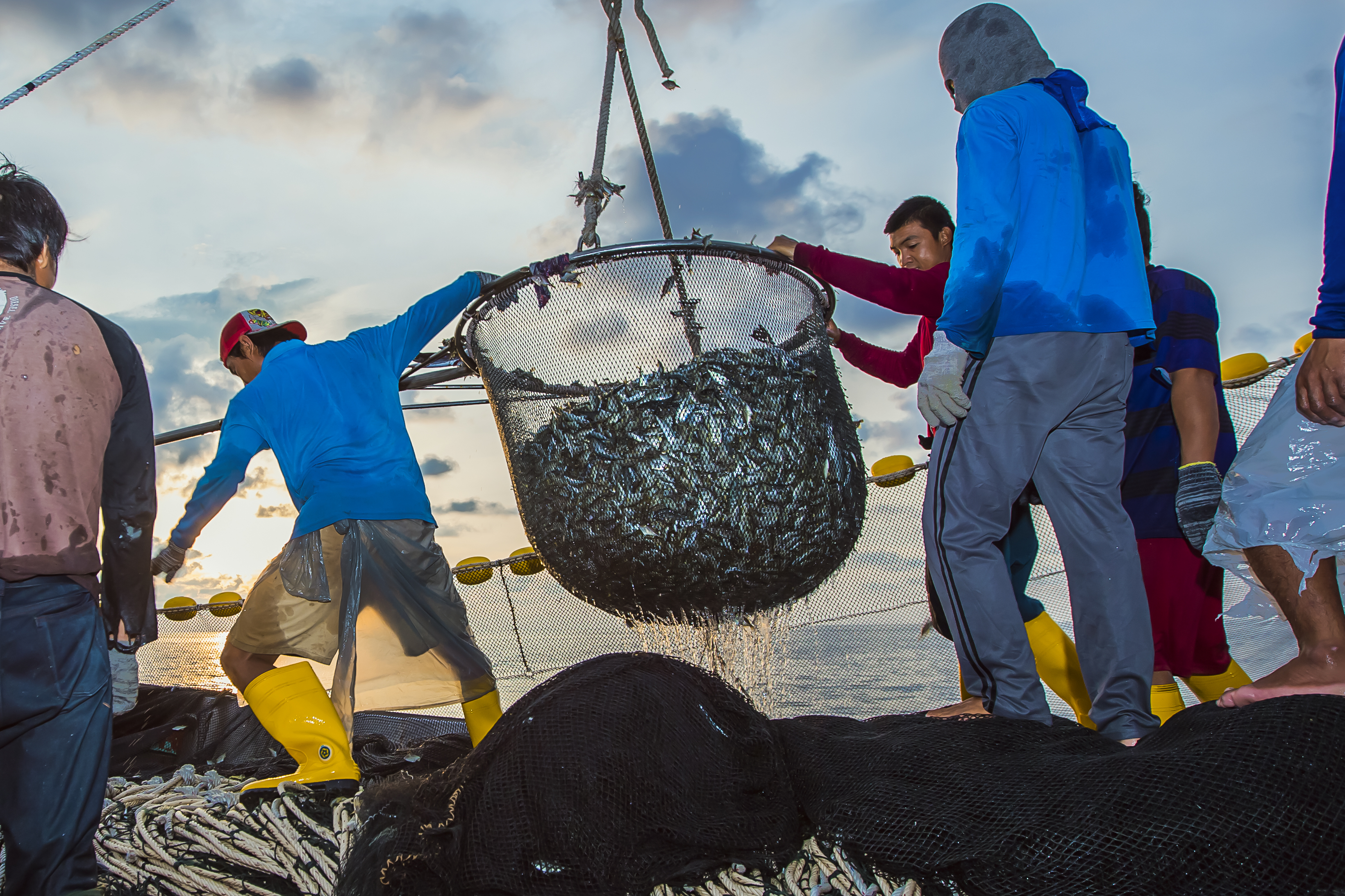 fisherman image